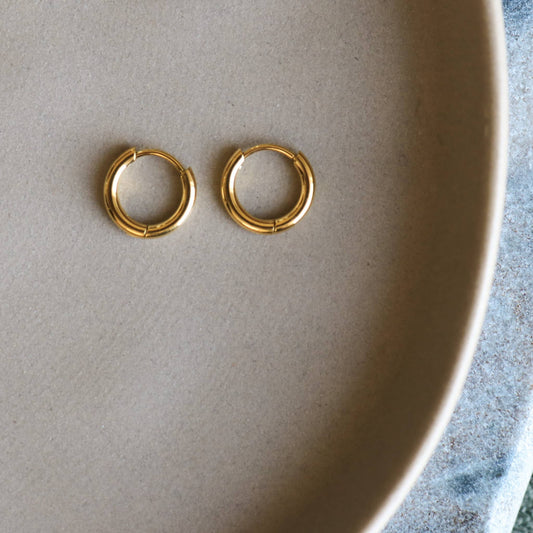 Boucles d'oreilles Mini Hoops en acier inoxydable: Or