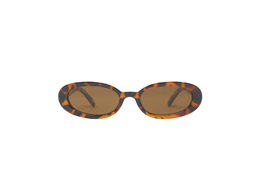 Latte - Tortoise