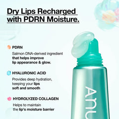 ANUA sérum pour les lèvres pdrn