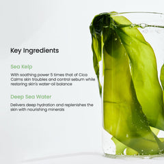 Biodance Masque rafraîchissant aux algues marines